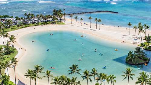 palm tree aerial photo people in beach at daytime summer